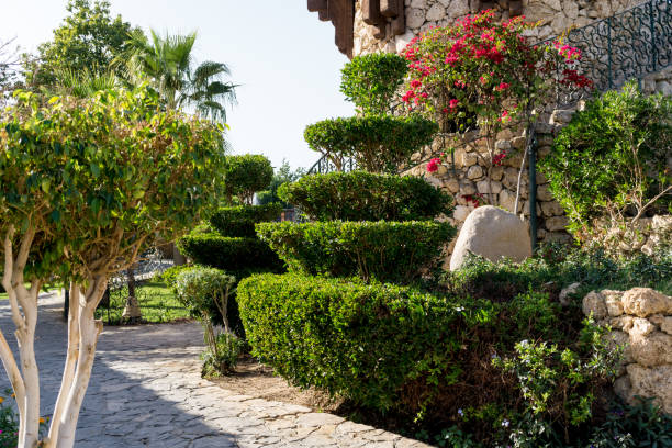 Additional Landscaping Services