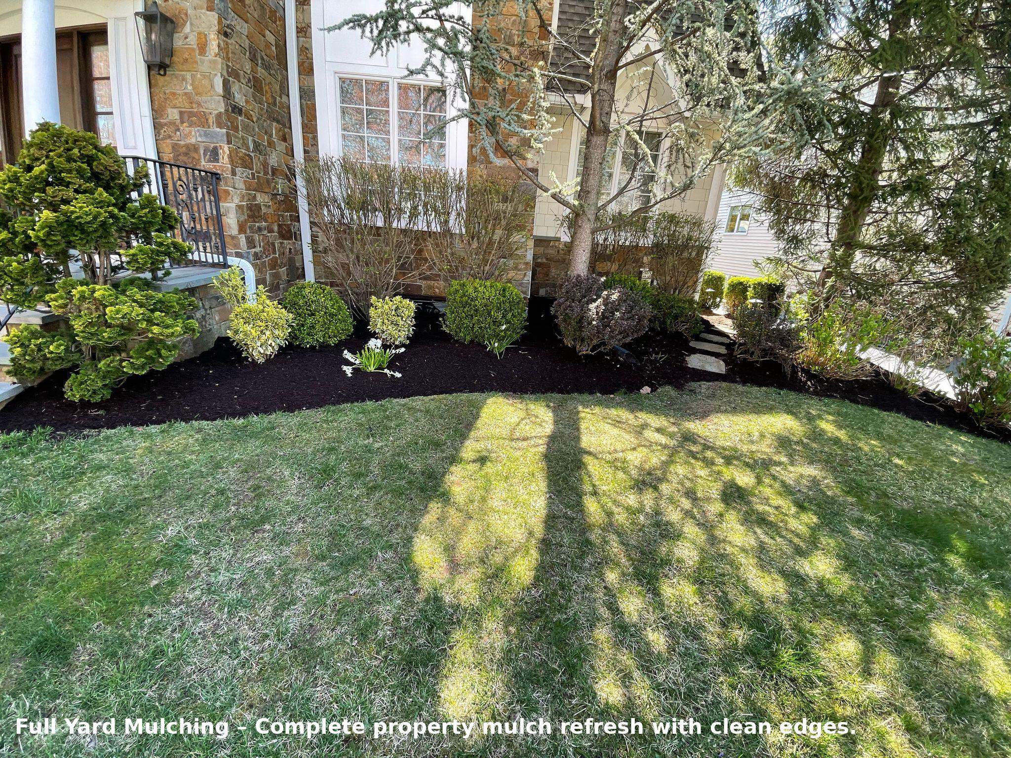 Lawn Maintenance